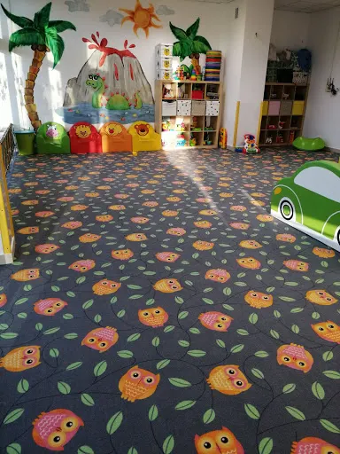 Niepubliczny Żłobek Wesołe Dinusie